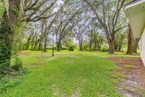 6763 COUNTY ROAD 219, WILDWOOD, FL 34785 - MLS#MFRG5101341
