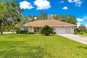 17520 Se 112th Ave, SUMMERFIELD