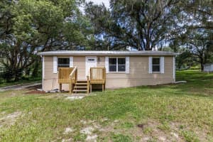 243 GRIFFIN VIEW DRIVE, LADY LAKE, FL 32159 - MLS#MFRG5101383