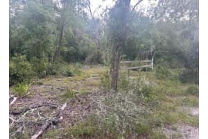 00 158TH LANE, DUNNELLON, FL 34432 - MLS#MFRG5101414