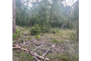 00 158TH LANE, DUNNELLON, FL 34432 - MLS#MFRG5101414
