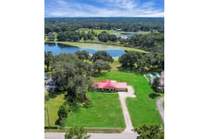 2334 Lake Griffin Rd, LADY LAKE