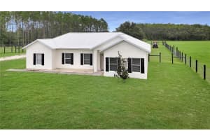 3430 CONNIFF ROAD, GROVELAND, FL 34736 - MLS#MFRG5101475