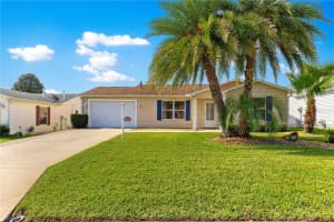 9638 168TH ELDERBERRY PLACE, THE VILLAGES, FL 32162 - MLS#MFRG5101505
