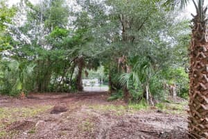 6704 MOUNT PLYMOUTH ROAD, APOPKA, FL 32712 - MLS#MFRG5101513
