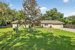 130 JOHNS STREET, MOUNT DORA, FL 32757 - MLS#MFRG5101529