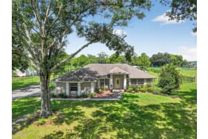 7729 LAKE ANDREA CIRCLE, MOUNT DORA, FL 32757 - MLS#MFRG5101547