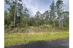 7180 HENDERSON WAY, DUNNELLON, FL 34434 - MLS#MFRG5101579