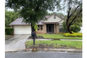 6527 Yellowhammer Ave, TAMPA