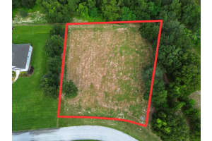 18307 GREAT BLUE HERON DRIVE, GROVELAND, FL 34736 - MLS#MFRG5101636
