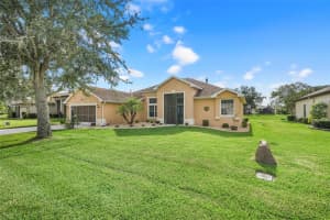 27303 STONEY BROOK DR, LEESBURG, FL 34748 - MLS#MFRG5101669