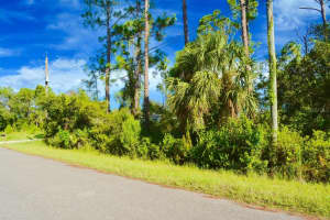 TBD GANYARD AVENUE, NORTH PORT, FL 34291 Sold 12/03/25