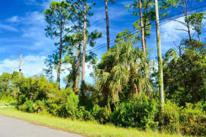 TBD GANYARD AVENUE, NORTH PORT, FL 34291 Sold 12/03/25