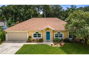 1101 MYRTLE LAKE VIEW DRIVE, FRUITLAND PARK, FL 34731 - MLS#MFRG5101709