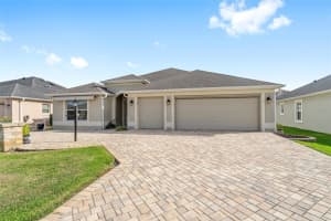 2942 Silk Tree Ter, THE VILLAGES