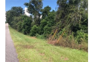 SUGARLOAF MOUNTAIN RD, CLERMONT, FL 34711 - MLS#MFRG5101741
