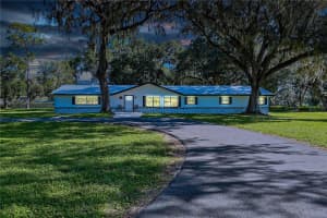 3875 SE 118TH LANE, BELLEVIEW, FL 34420 - MLS#MFRG5101776