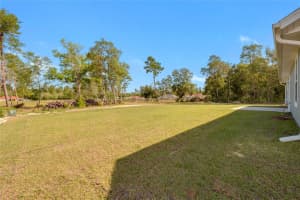 3830 169TH LANE ROAD, OCALA, FL 34473 - MLS#MFRG5101787