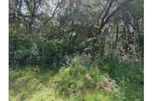 16593 31ST CIRCLES, OCALA, FL 34473 - MLS#MFRG5101797