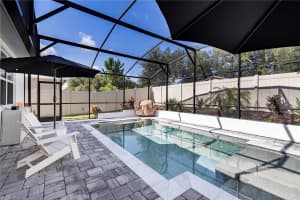 2429 SIRENA LANE, MOUNT DORA, FL 32757 - MLS#MFRG5101802