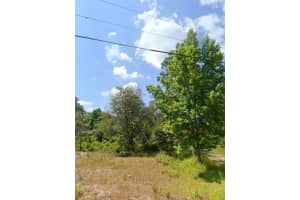 12928 OCONEE BOULEVARD, NEW PORT RICHEY, FL 34654 Sold 10/06/25