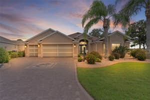 859 CHAPMAN LOOP, THE VILLAGES, FL 32162 - MLS#MFRG5101821