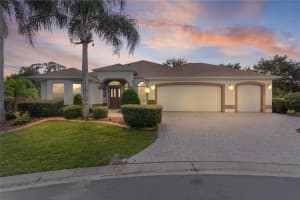 3312 BARRINGTON COURT, THE VILLAGES, FL 32162 - MLS#MFRG5101892