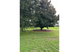 917 CAMINO DEL REY DRIVE, LADY LAKE, FL 32159 - MLS#MFRG5101910