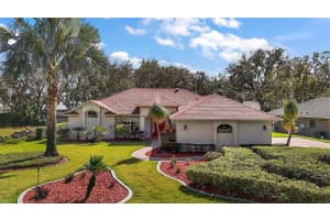 389 RESERVE DRIVE, TAVARES, FL 32778 - MLS#MFRG5101911