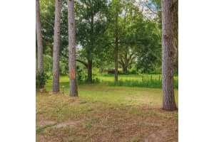 32919 COUNTY ROAD 437, SORRENTO, FL 32776 - MLS#MFRG5101933