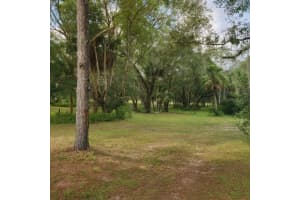 32919 COUNTY ROAD 437, SORRENTO, FL 32776 - MLS#MFRG5101933