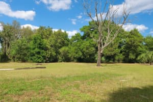 32919 COUNTY ROAD 437, SORRENTO, FL 32776 - MLS#MFRG5101933