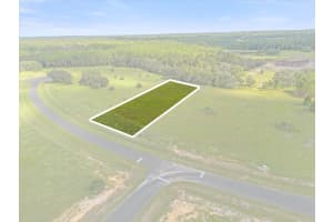 38530 WOODED MEADOW DRIVE, UMATILLA, FL 32784 Sold 10/09/25