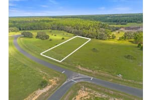 38530 WOODED MEADOW DRIVE, UMATILLA, FL 32784 Sold 10/09/25