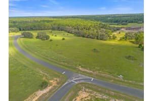 38530 WOODED MEADOW DRIVE, UMATILLA, FL 32784 Sold 10/09/25