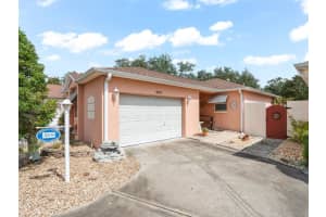 1019 Avalon Ave, THE VILLAGES