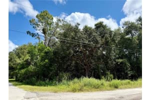 LOT 1 PALM DRIVE, EUSTIS, FL 32736 - MLS#MFRG5101983