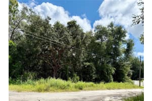 LOT 1 PALM DRIVE, EUSTIS, FL 32736 - MLS#MFRG5101983