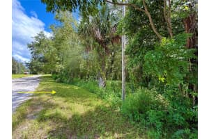 LOT 1 PALM DRIVE, EUSTIS, FL 32736 - MLS#MFRG5101983