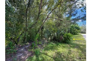 LOT 1 PALM DRIVE, EUSTIS, FL 32736 - MLS#MFRG5101983