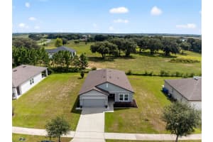 16513 CHERRY LANDING DR, GROVELAND, FL 34736 - MLS#MFRG5101994