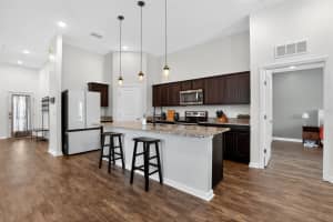 16513 CHERRY LANDING DR, GROVELAND, FL 34736 - MLS#MFRG5101994