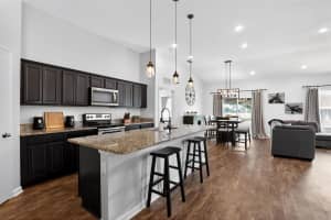 16513 CHERRY LANDING DR, GROVELAND, FL 34736 - MLS#MFRG5101994