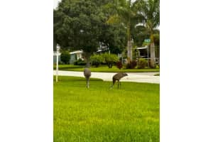 527 EGRET CIRCLE, MICCO, FL 32976 - MLS#MFRG5102001