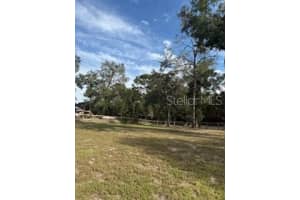 9798 156TH PLACE, DUNNELLON, FL 34432 - MLS#MFRG5102074