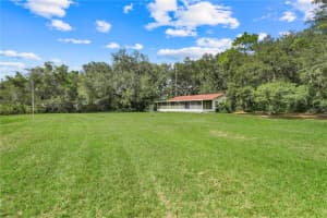 1440 SELMAN ROAD, LEESBURG, FL 34748 - MLS#MFRG5102097