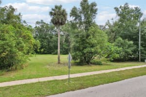 847 PALMETTO STREET, EUSTIS, FL 32726 - MLS#MFRG5102127