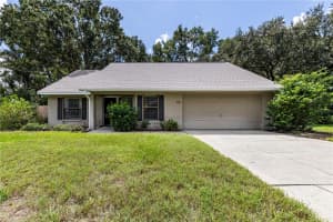 4180 WOOD DRIVE, MOUNT DORA, FL 32757 - MLS#MFRG5102135