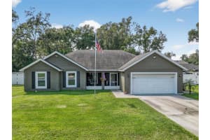 25141 ADAIR AVENUE, SORRENTO, FL 32776 - MLS#MFRG5102146