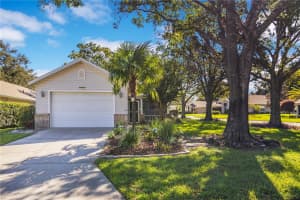 25036 Cranes Roost Cir, LEESBURG